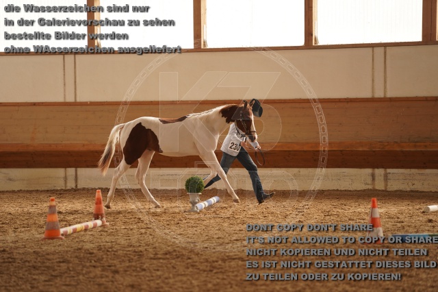 s_A_901182.JPG